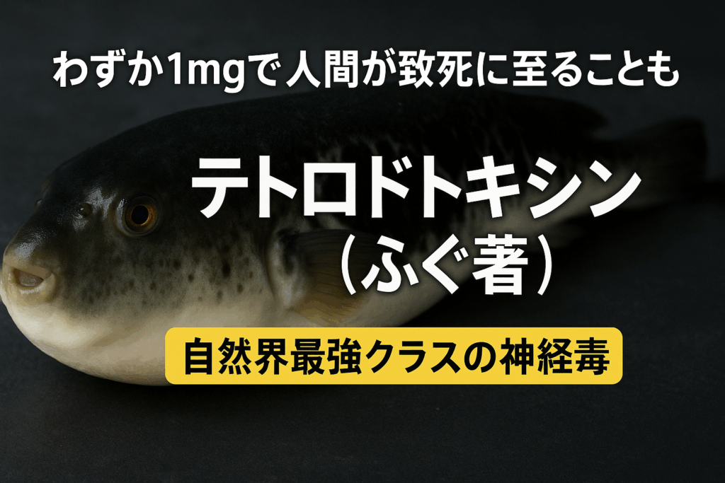 【科学的に解説】テトロドトキシン(ふぐ毒)とは?毒性の正体とフグを安全に食べる方法 - 科学の部屋